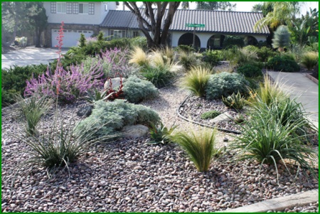 Lucinda Pryor - Honorable Mention Winner